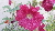 G 008-002 Q »Menuett« G 008-002 Q »Menuett«